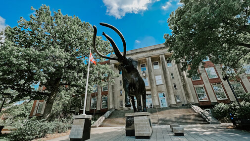 Archie outside of Morrill Hall