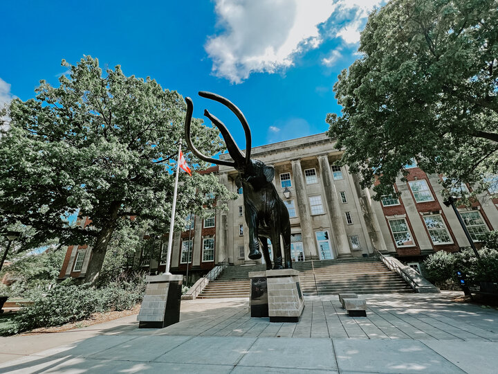 Archie outside of Morrill Hall